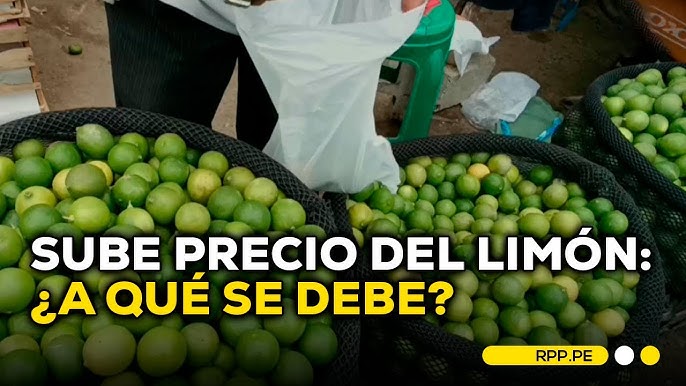 “Es la economía, estúpido”