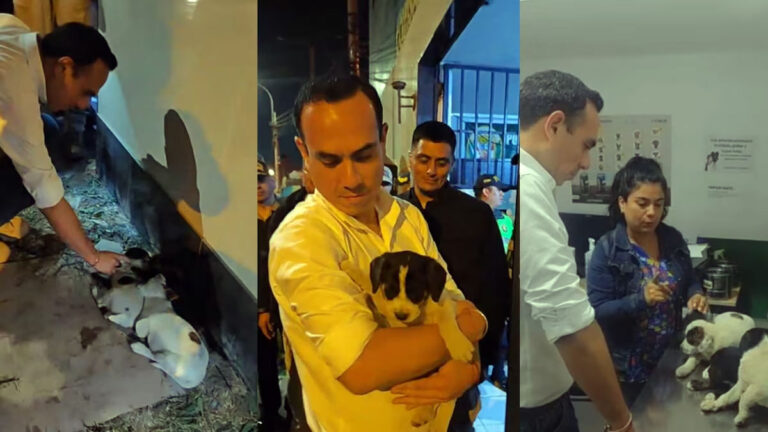 Del silencio al espectáculo político 